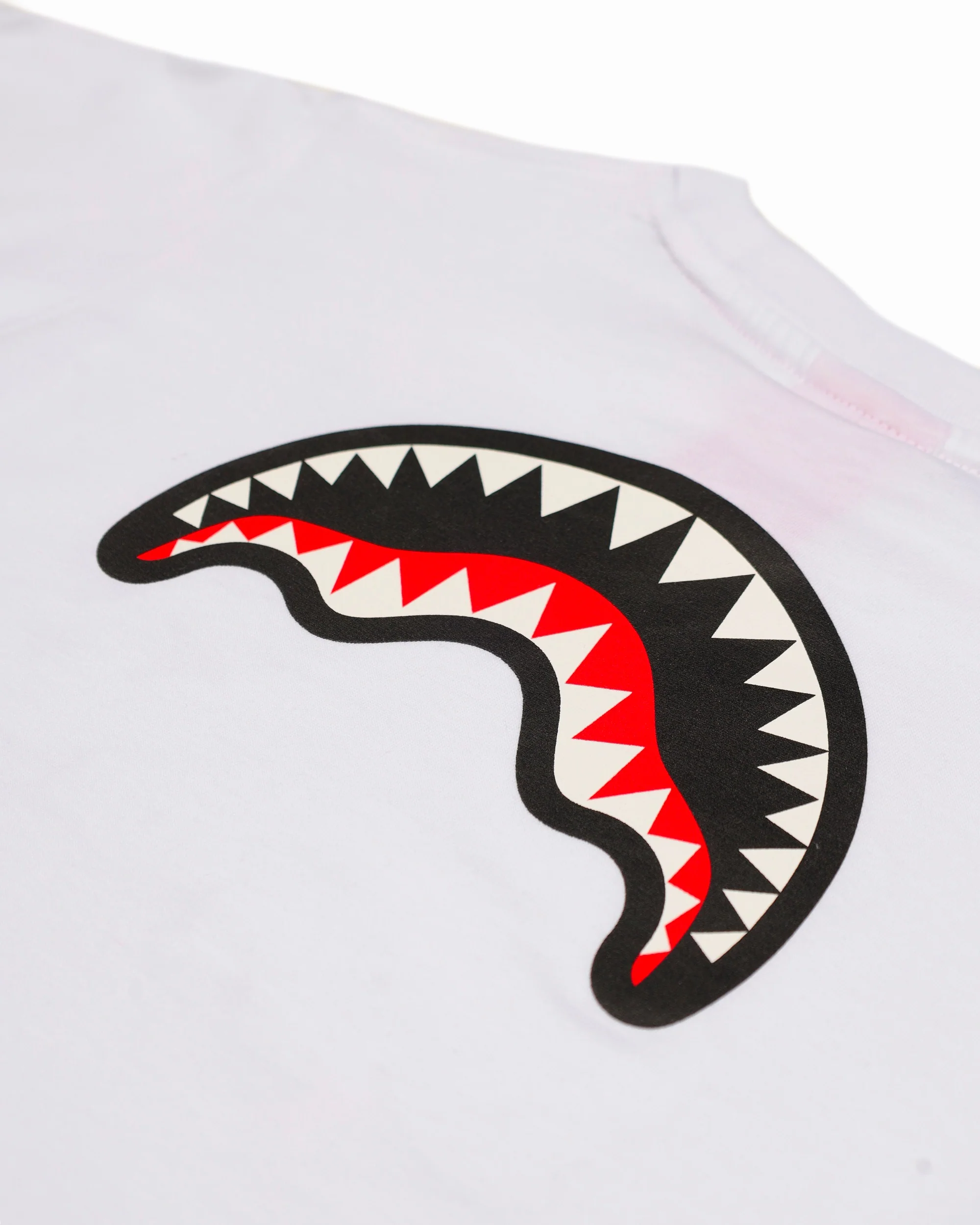 CATCH BEAR REGULAR T-SHIRT WHT - Image 7