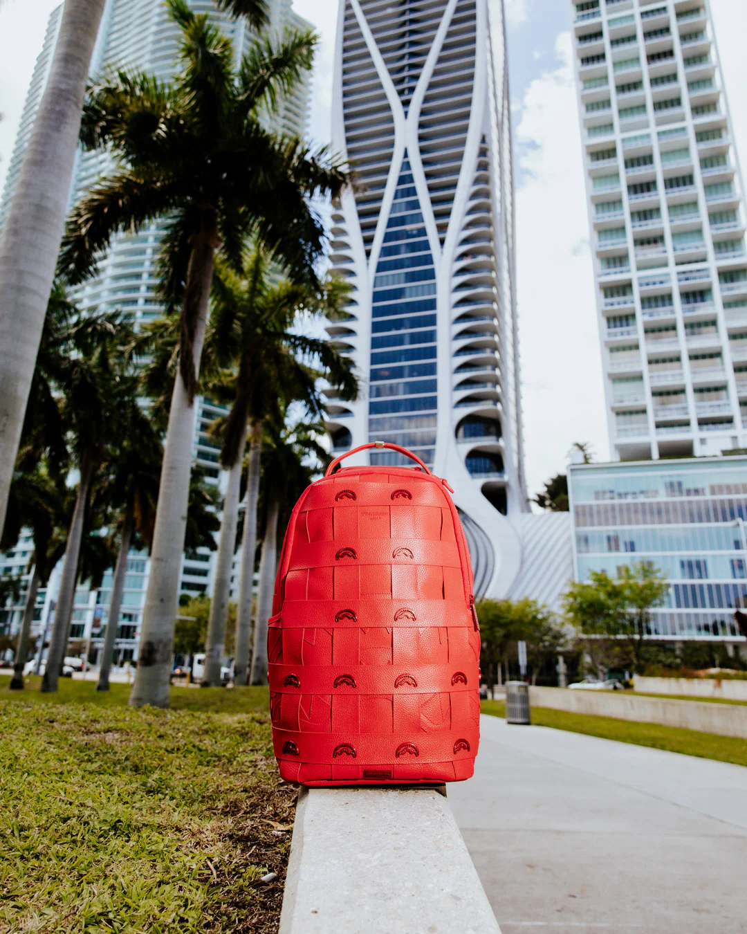 Red Payload Dlx Backpack - Image 2